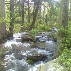 Meet your Posher, Tanya